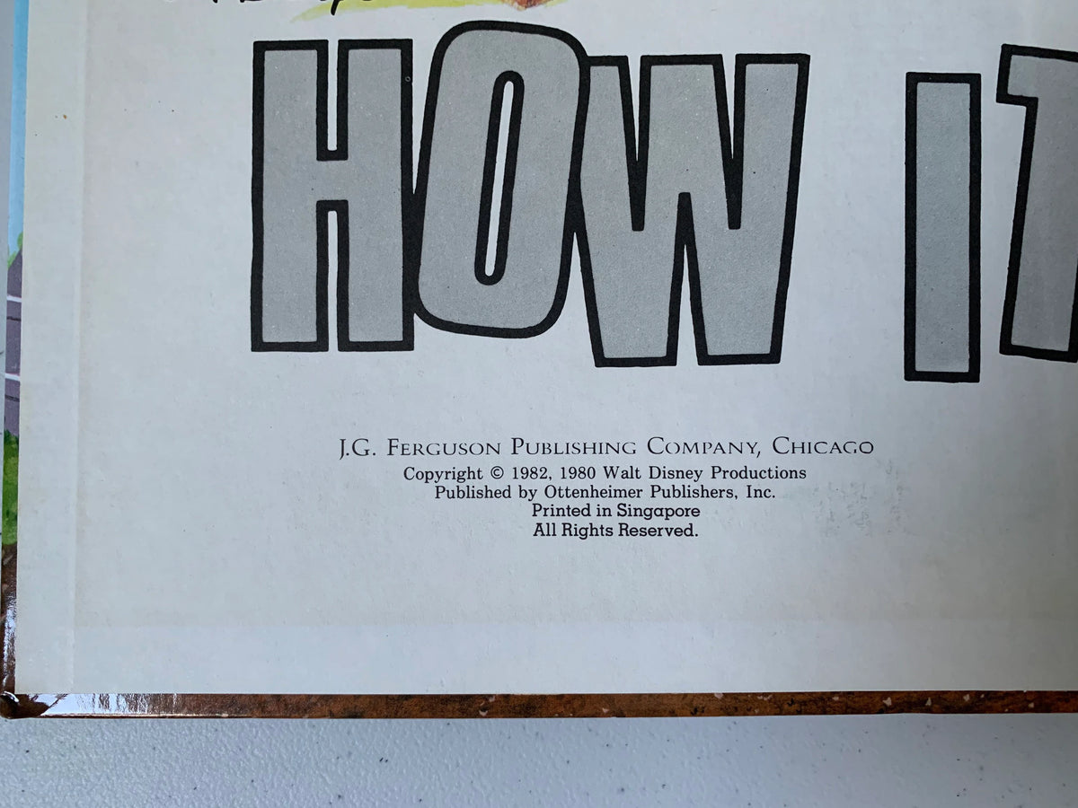 Vintage Walt Disneys How It Works in the Home, 1982 Walt Disney Productions Book, Vintage Disney Character How It Works Book, Disney Book