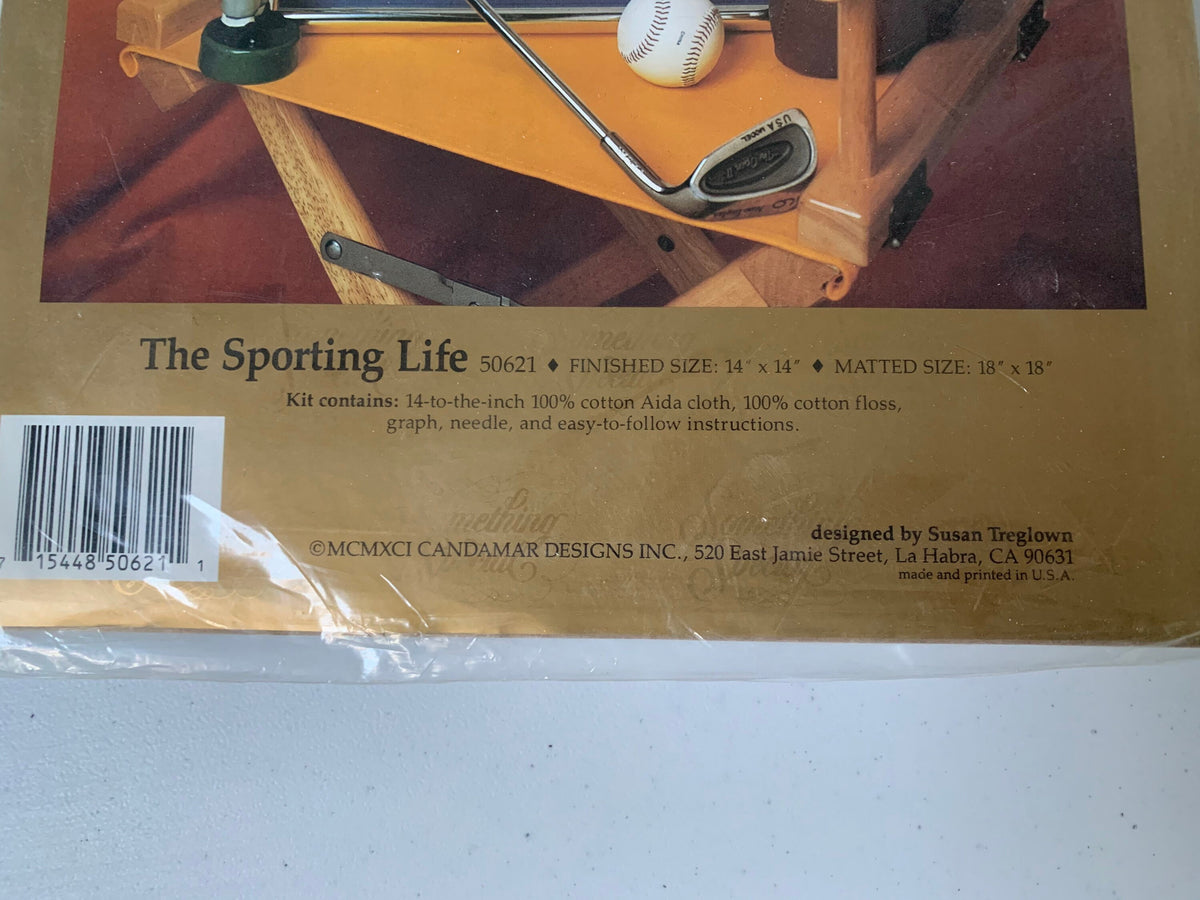 The Sporting Life Counted Cross Stitch Kit, 50621 The Sporting Life, 1991 Something Special, Candamar Designs, Boys Room Cross Stitch Sample