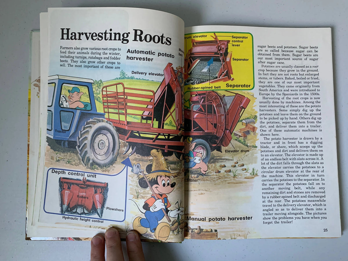 Vintage Walt Disneys How It Works in the Country, 1982 Walt Disney Productions Book, Vintage Disney How it Works Book, Vintage Disney Book