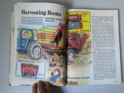 Vintage Walt Disneys How It Works in the Country, 1982 Walt Disney Productions Book, Vintage Disney How it Works Book, Vintage Disney Book