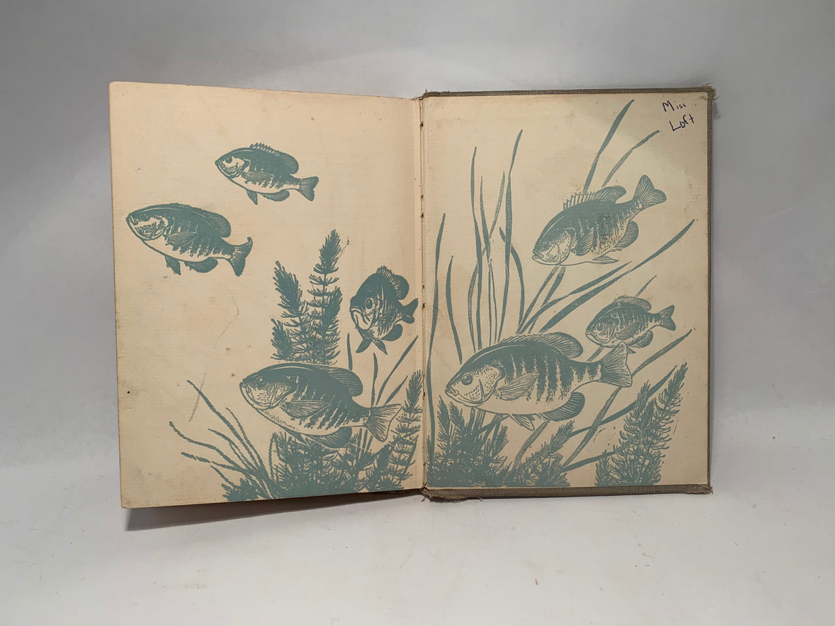 Vintage Bobby Bluegill by R W Eschmeyer, Rare 1953 Hardcover Bobby Bluegill Book, The Fisherman Press, Vintage Bobby Bluegill kids book