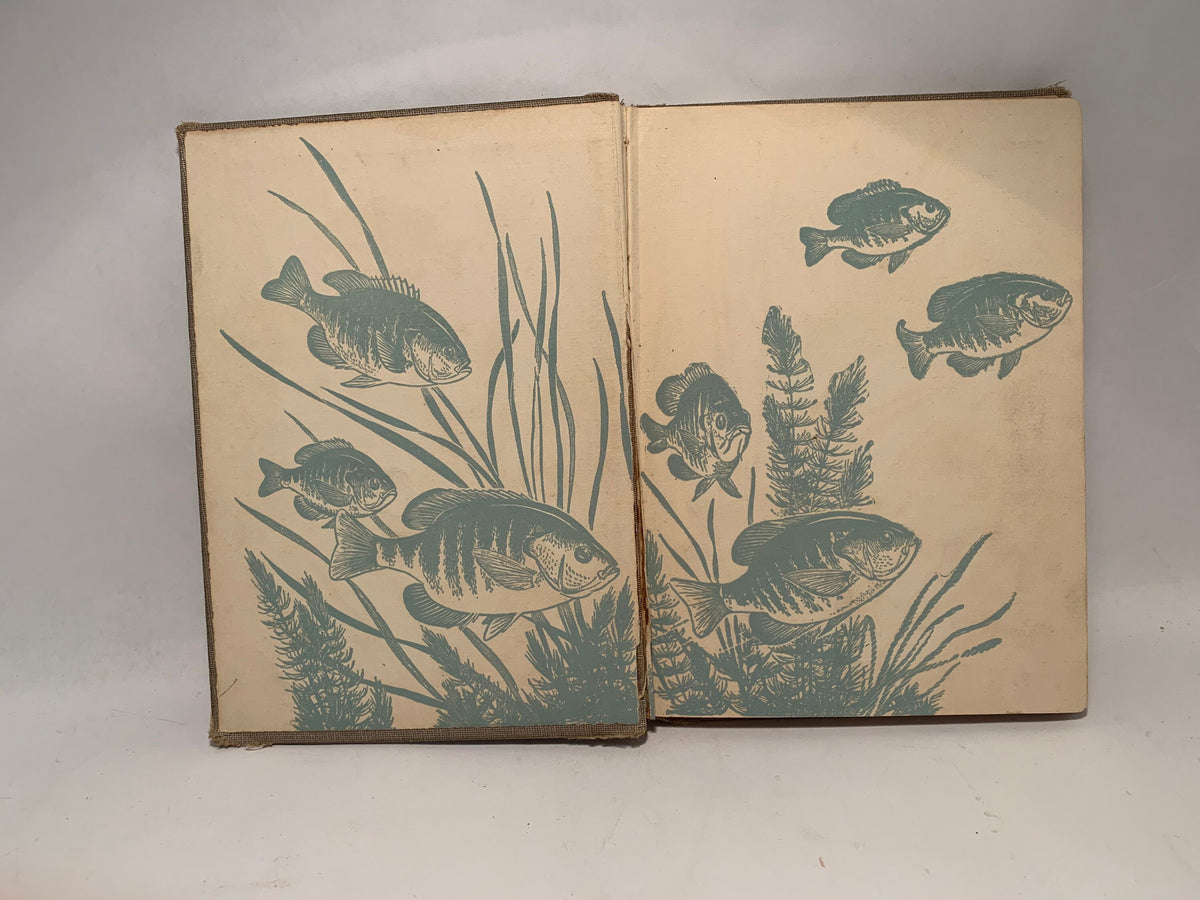 Vintage Bobby Bluegill by R W Eschmeyer, Rare 1953 Hardcover Bobby Bluegill Book, The Fisherman Press, Vintage Bobby Bluegill kids book