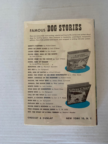Bob Son Of Battle Famous Dog Stories, Alfred Ollivant, Vintage 1898 Bob Son of Battle Illustrated, Vintage Famous Dog Stories, Ollivant Book