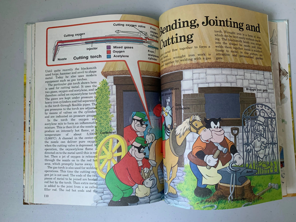 Vintage Walt Disneys How It Works in the Country, 1982 Walt Disney Productions Book, Vintage Disney How it Works Book, Vintage Disney Book