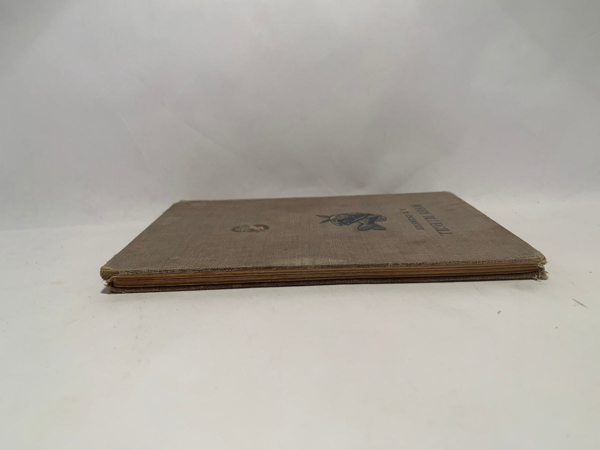 Vintage Bobby Bluegill by R W Eschmeyer, Rare 1953 Hardcover Bobby Bluegill Book, The Fisherman Press, Vintage Bobby Bluegill kids book