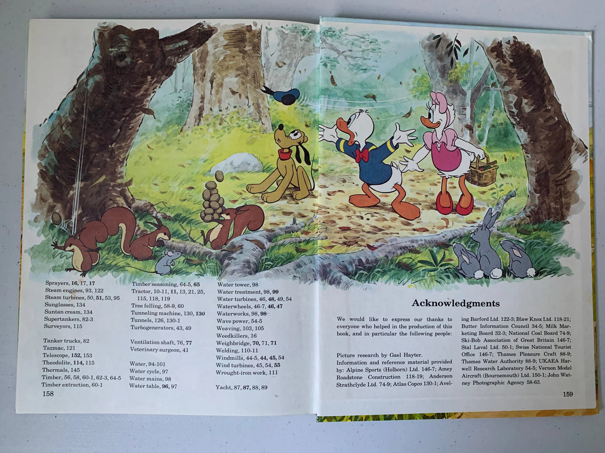 Vintage Walt Disneys How It Works in the Country, 1982 Walt Disney Productions Book, Vintage Disney How it Works Book, Vintage Disney Book