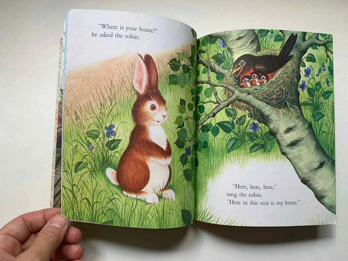 Vintage Home For A Bunny, A Little Golden Book, 206-10 A Golden Book 1961, by Margaret Wide Brown, Home For Bunny, Vintage Book, Easter Book