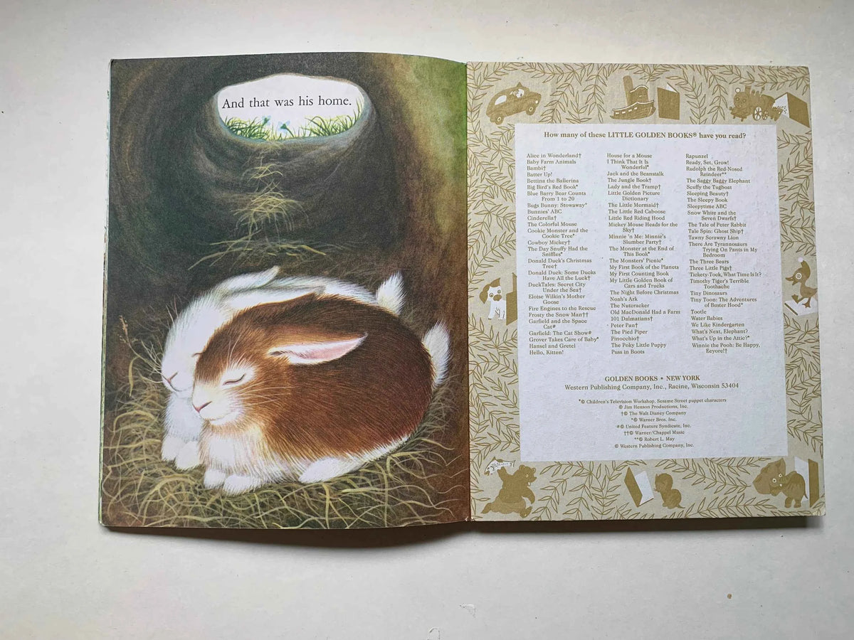 Vintage Home For A Bunny, A Little Golden Book, 206-10 A Golden Book 1961, by Margaret Wide Brown, Home For Bunny, Vintage Book, Easter Book