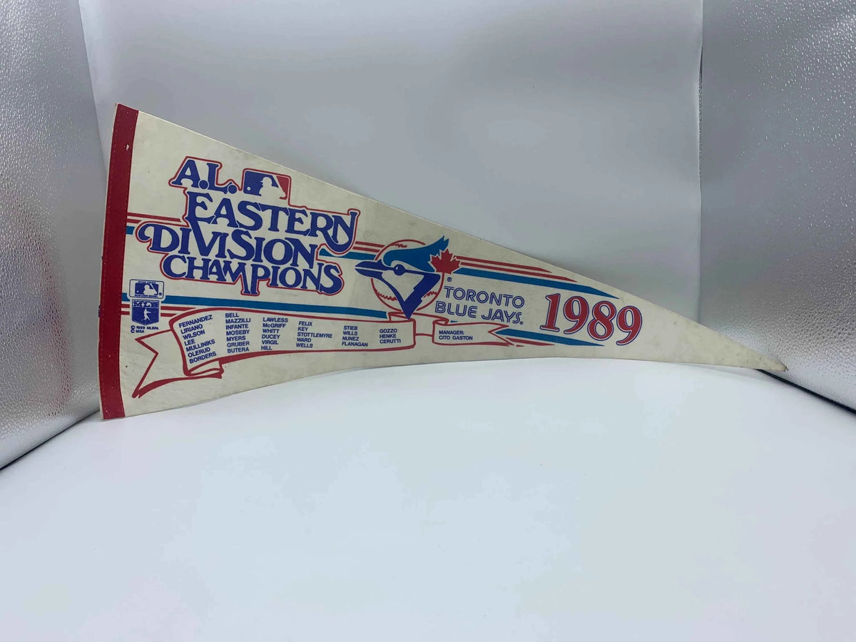 Toronto Blue Jays 1989 AL East Division Champions Banner and Toronto Blue Jays Plastic MLB Beer Mug, Blue Jays Beer Mug, Vladdy Jr, 89 Jays